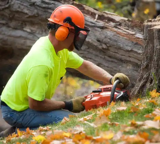 tree services Edgar